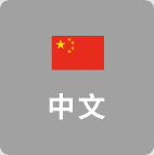 中文